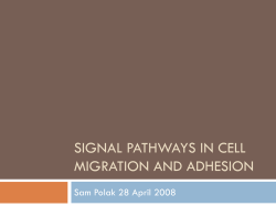Cell Migration: Integrating Signals from Front to Back