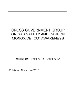 Cross government group on gas safety and carbon monoxide