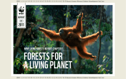 Forests for a living planet