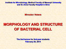 Mikrobiologick&yacute; &uacute;stav LF MU a FN u sv. Anny v Brně