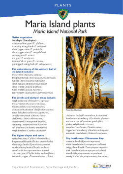 Maria Island plants