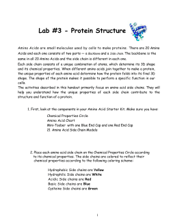 Lab #3 - Protein Structure Amino Acids are small molecules used by