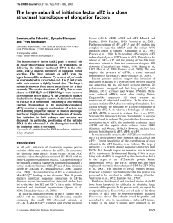 The large subunit of initiation factor aIF2 is a close structural