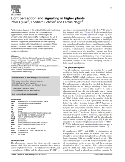 Light perception and signalling in higher plants