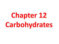 Chapter 12 Carbohydrates - Seattle Central College