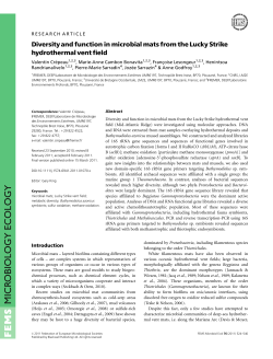 Diversity and function in microbial mats from the Lucky Strike