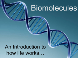 DNA