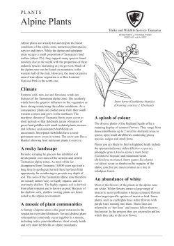 Alpine Plants - Tasmania Parks and Wildlife Service