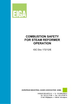combustion safety for steam reformer operation