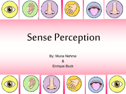 Sense Perception - TOK