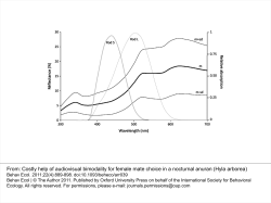 Costly help of audiovisual bimodality for female mate choice in a