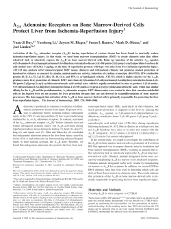 A2A Adenosine Receptors on Bone Marrow