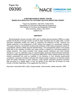 09390 - a new mechanistic model for mic based on a biocatalytic