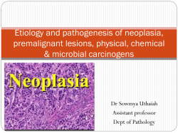 Etiology and pathogenesis of neoplasia, premalignant