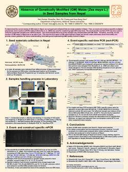 Absence of genetically modified (GM) maize (Zea mays L.) in seed