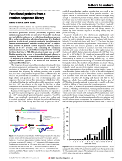 Functional proteins from a random-sequence library