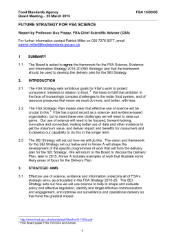 FSA 15-03-05 SEI Strategy (final)
