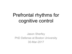 Prefrontal rhythms for cognitive control