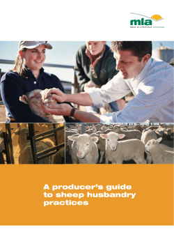 A producer`s guide to sheep husbandry practices