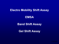 Electro Mobility Shift Assay EMSA Band Shift Assay Gel Shift Assay