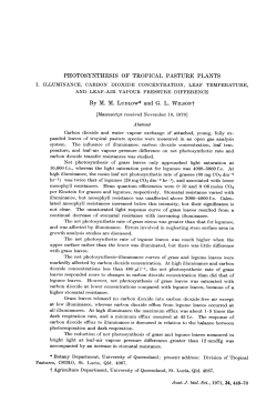 photosynthesis of tropical pasture plants