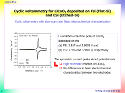 PowerPoint 프레젠테이션