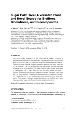 Sugar Palm Tree: A Versatile Plant and Novel Source for Biofibres