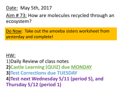 PowerPoint- Cycles - Manhasset Public Schools