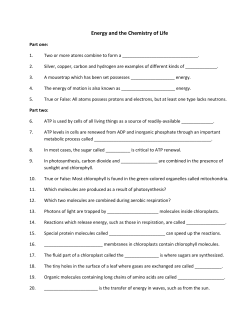 Energy and the Chemistry of Life