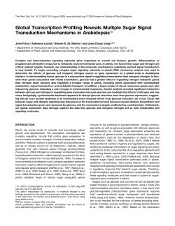 Global Transcription Profiling Reveals Multiple Sugar