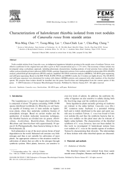 Characterization of halotolerant rhizobia isolated from root nodules
