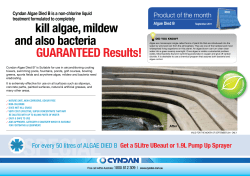 GUARANTEED Results! kill algae, mildew and also bacteria