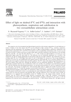 Effect of light on skeletal N13C and N18O, and interaction with