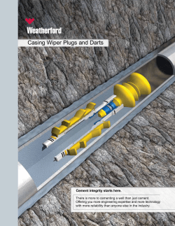 Casing Wiper Plugs and Darts