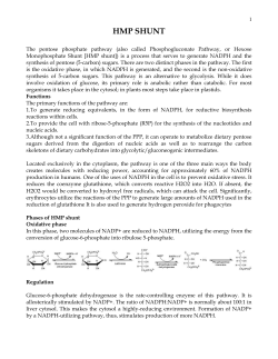 The pentose phosphate pathway (also called Phosphogluconate