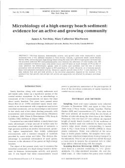 Microbiology of a high energy beach sediment