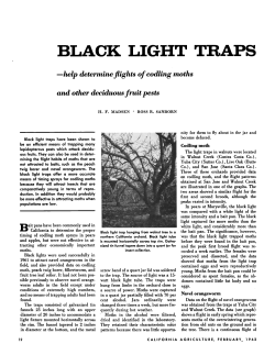BLACK LIGHT TRAPS