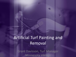Artificial Turf Painting and Removal