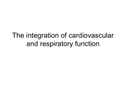 The integration of cardiovascular and respiratory function