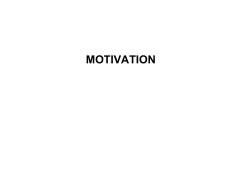 motivation theories