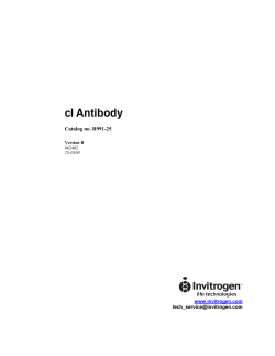 cI Antibody - Thermo Fisher Scientific