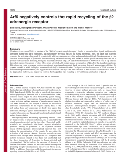 Arf6 negatively controls the rapid recycling of the b2 adrenergic
