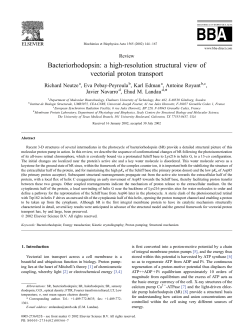 Bacteriorhodopsin - Theoretical and Computational Biophysics Group