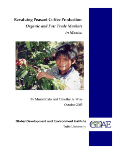 Revaluing Peasant Coffee Production: Organic and