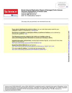 Break-Induced Replication Repair of Damaged Forks Induces