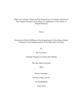 Effects of Consumer Values and Past Experiences