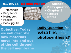 Exocytosis