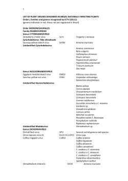 1 LIST OF PLANT VIRUSES DESCRIBED IN BRAZIL NATURALLY