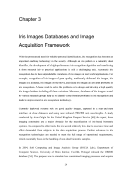 Chapter 3 Iris Images Databases and Image Acquisition Framework