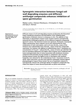 Synergistic interaction between fungal cell wall
